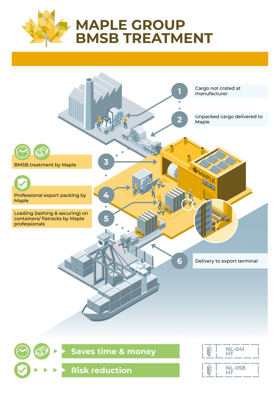 infographic Maple Group BMSB isometrisch packing shipping transport